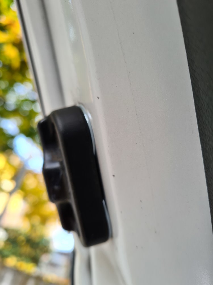 20201104_123215.jpg