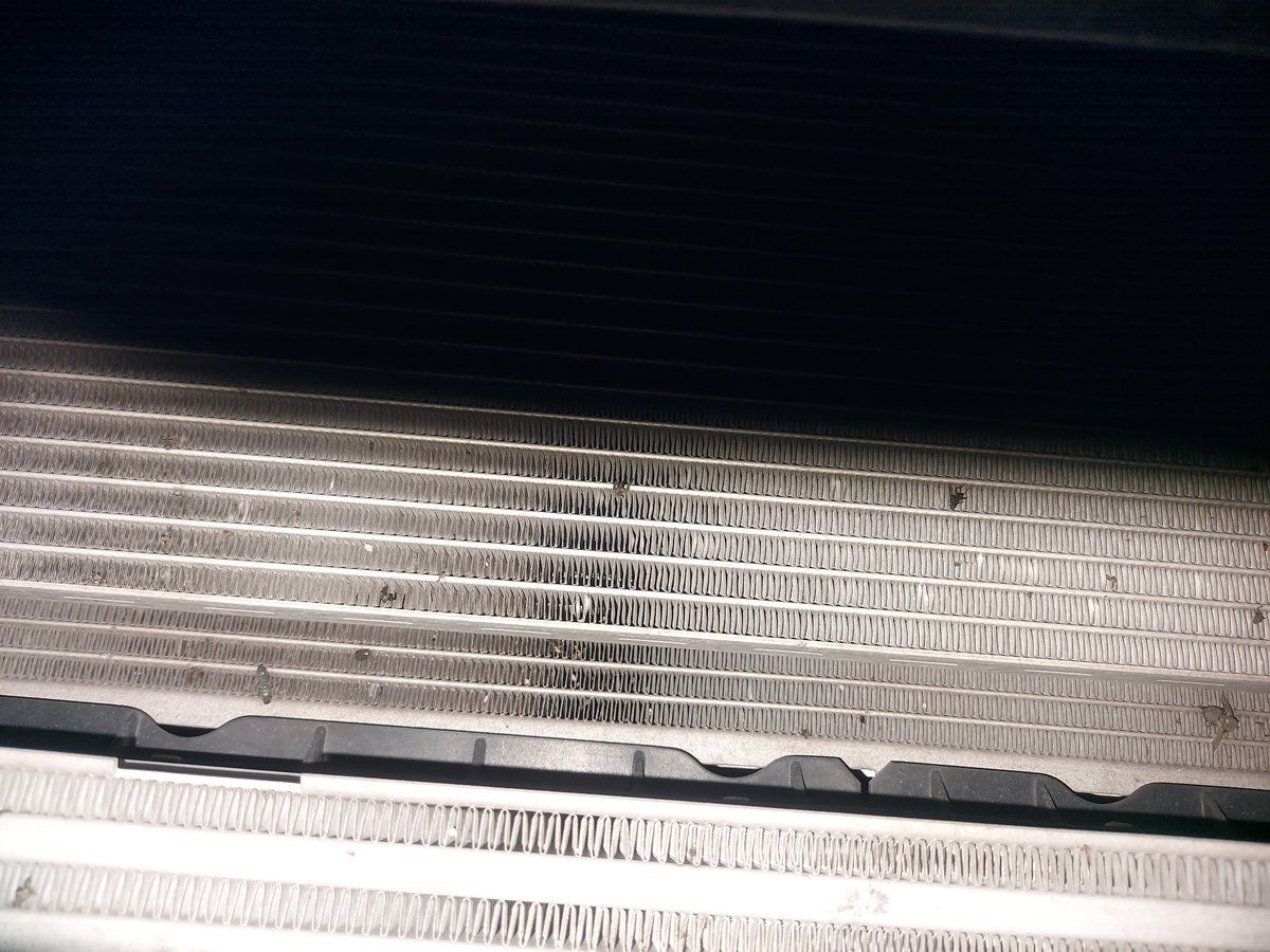 20210617_182957.jpg