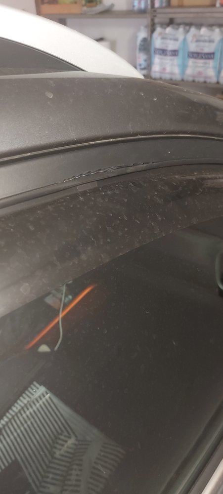 20210626_104311[1].jpg