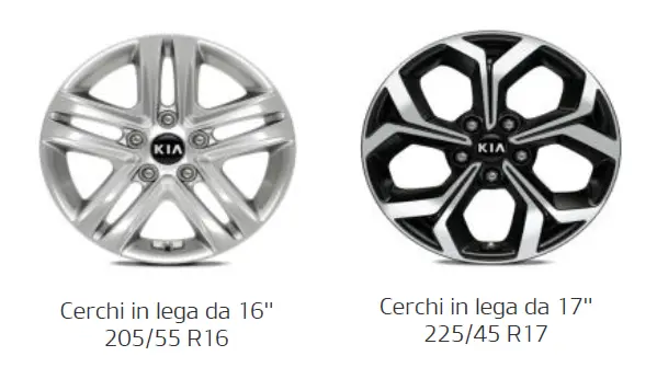 Cerchi.webp
