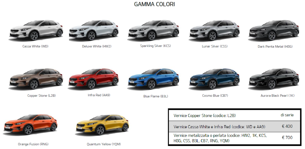 colori xceed.png