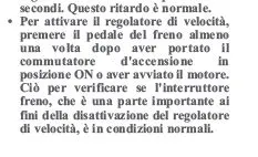cruise.webp