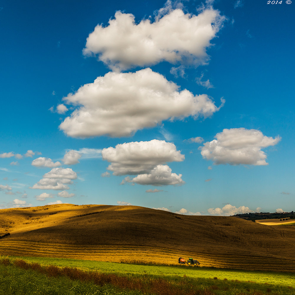 DSC_2826_2ph1200.jpg
