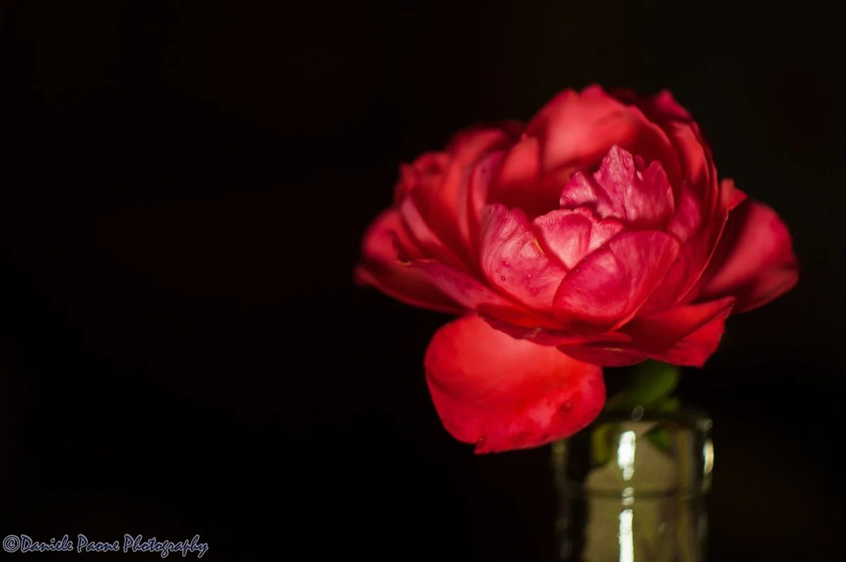 DSC_3854-2.webp