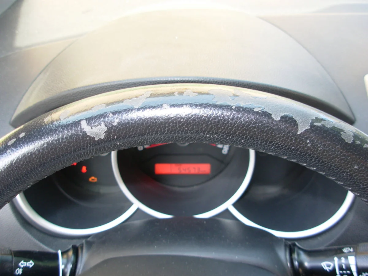 DSCN1808.webp