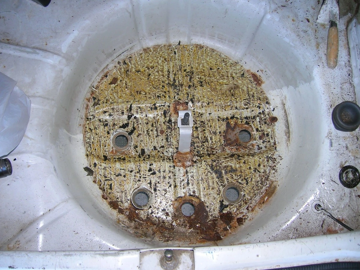 DSCN4882.webp