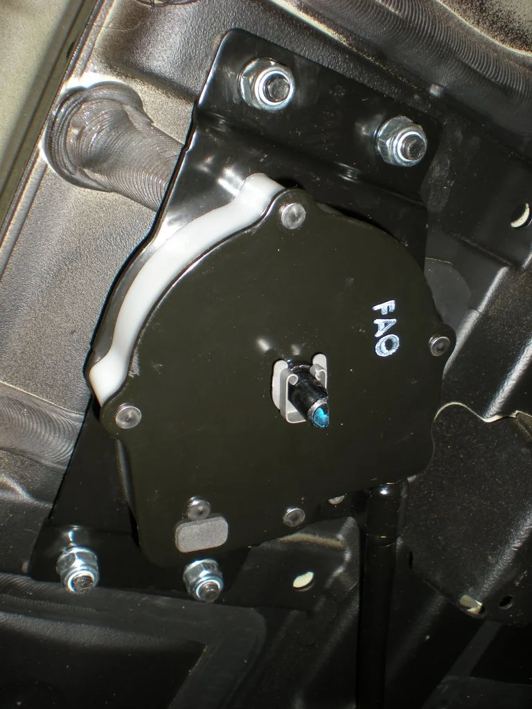 DSCN5478.webp