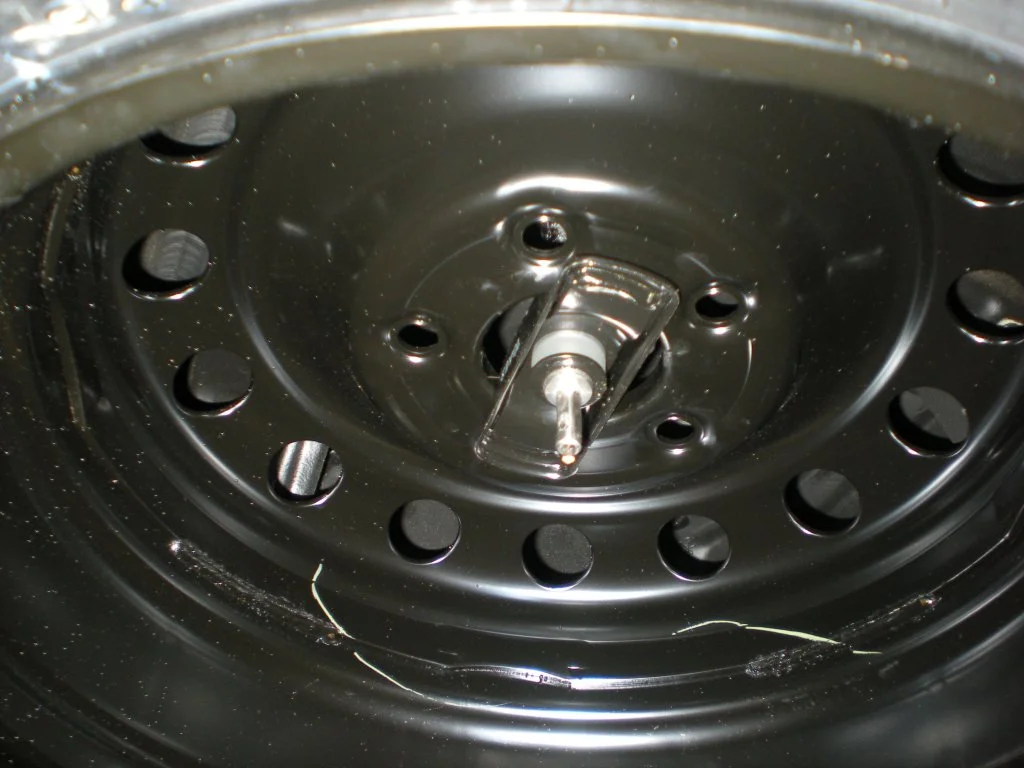 DSCN5484.webp