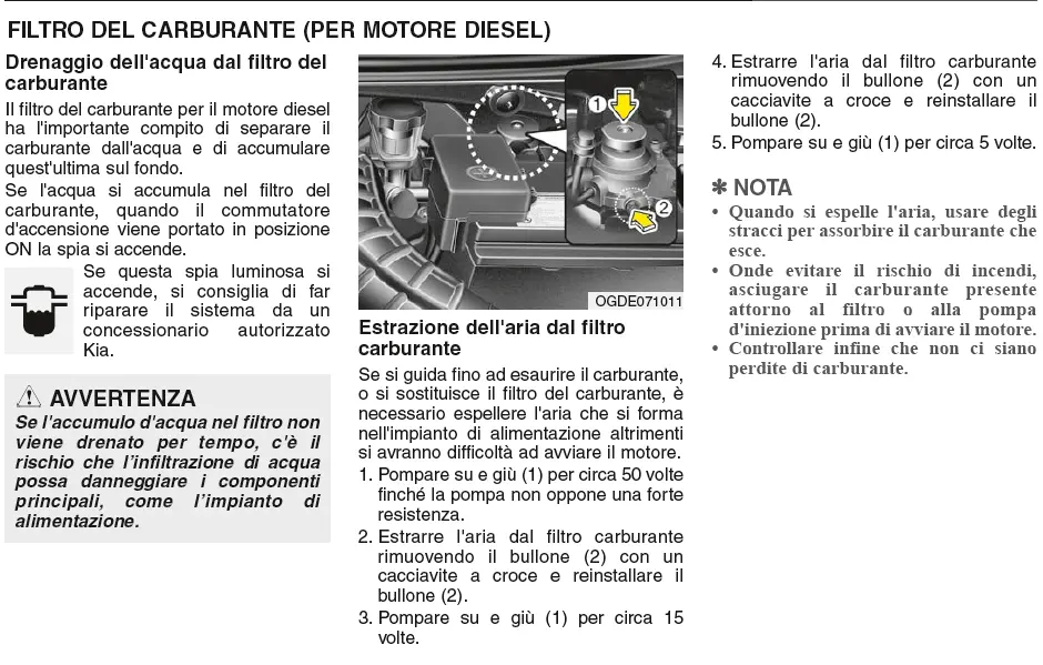 Filtro gasolio.webp