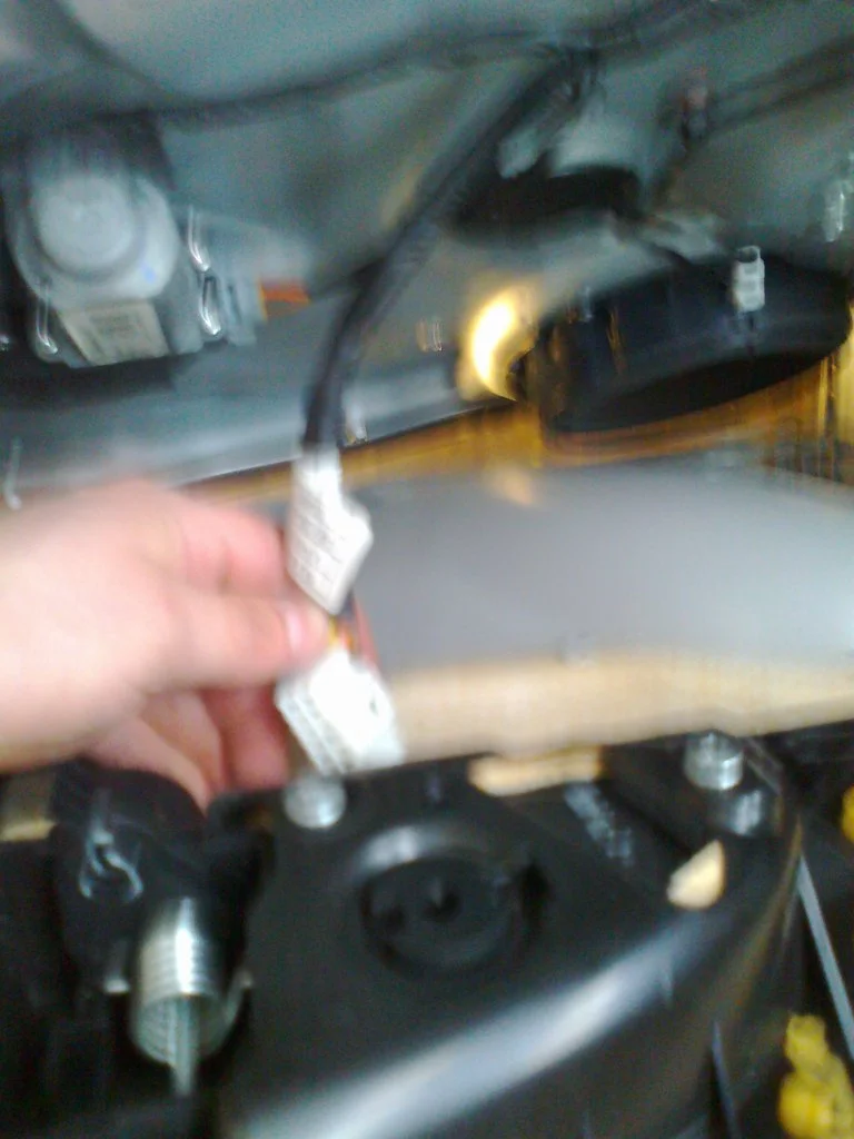 Foto0014.webp
