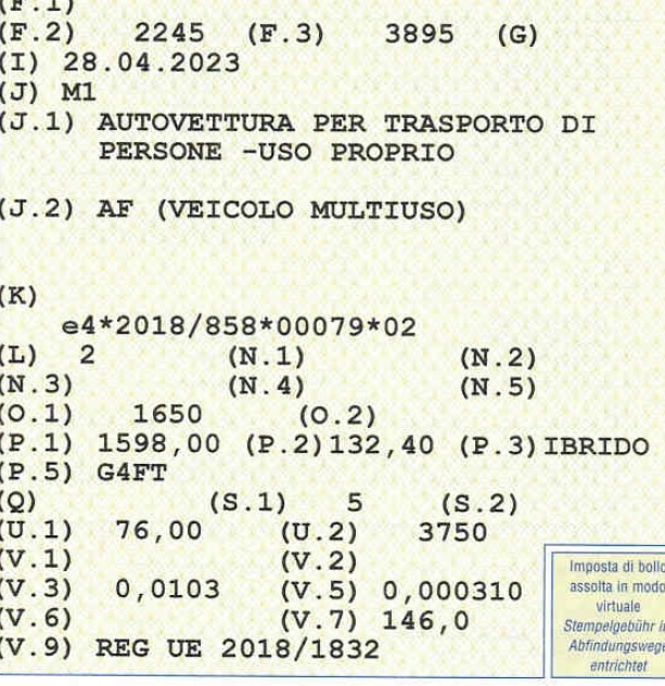ibrido.jpg