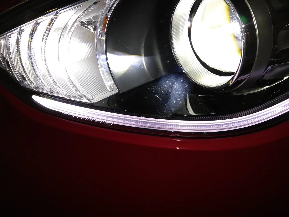 IMG_20181014_185504634.webp