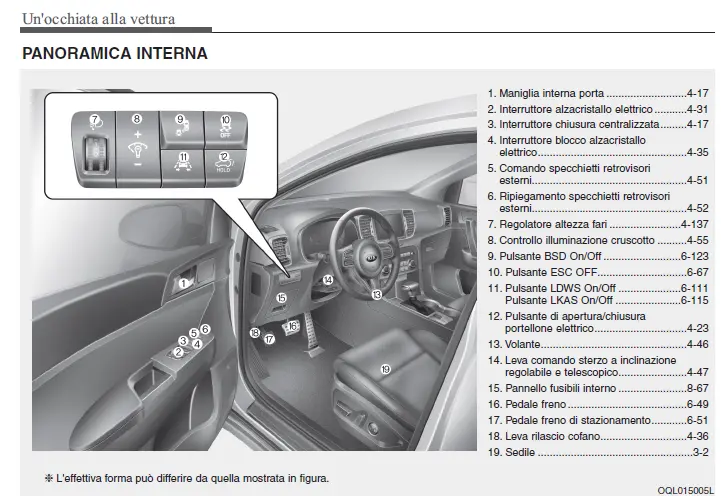 Immagine.webp