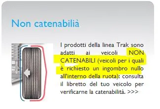 maggi.webp