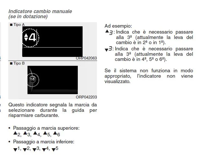 marcia.webp