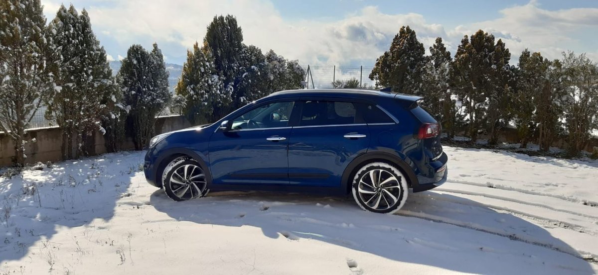 Niro_2.JPG