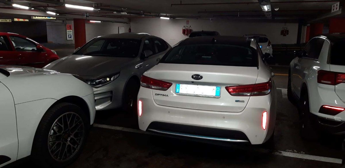 optima.jpg