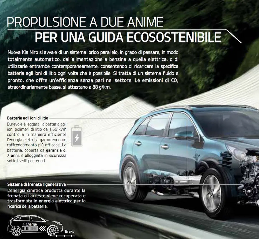 Senza titolo.webp