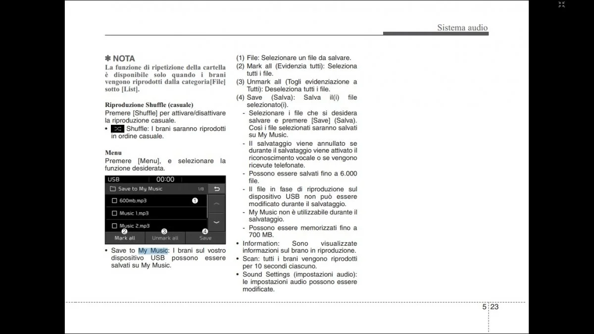 sistema audio.webp