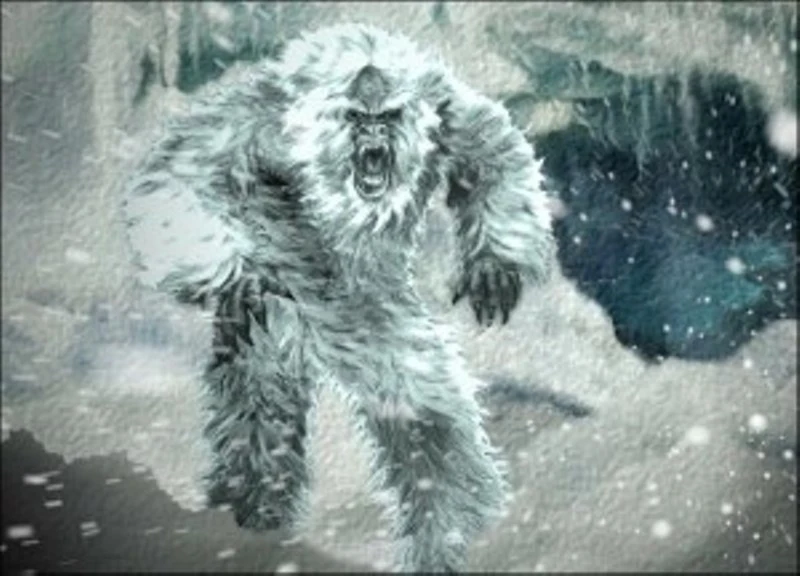 yeti.webp