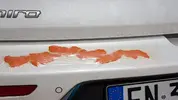 20180526_094510.webp