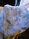 IMG_20181111_104213.webp