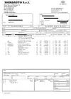 Nordauto.webp