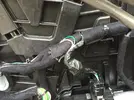 Guaina_motorino.webp