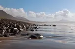 FB_IMG_1538467684195.webp
