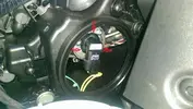 IMAG0231.webp