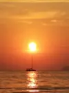QLJG6716.webp