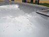 IMG_20200803_181829.jpg
