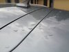 IMG_20200803_181837.jpg