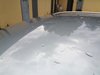 IMG_20200803_181908.jpg