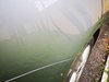 IMG_20200803_181958.jpg