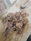 20201226_123039.jpg