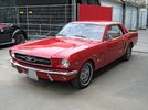 1965_Ford_Mustang_2D_Hardtop_Front.jpg