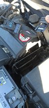 IMG_20220518_171254.jpg