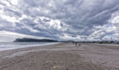 DSC_0987.png