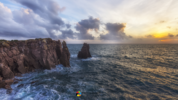 DSC_1997 1920X1080.png