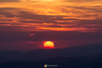 DSC_8130.png