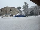 IMG_3912.jpeg