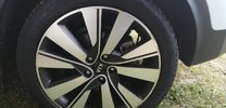IMG_20230219_085351.jpg