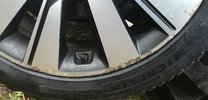 IMG_20230219_085530.jpg