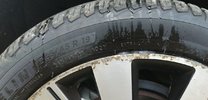 IMG_20230219_085526.jpg
