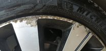 IMG_20230219_085515.jpg