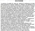 Descrizione.jpg