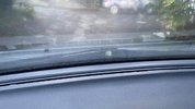 IMG_5037.jpeg