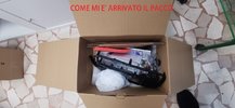 Immagine WhatsApp 2024-02-06 ore 14.55.21_a29f944a.jpg