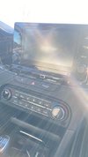 IMG_7282.jpeg